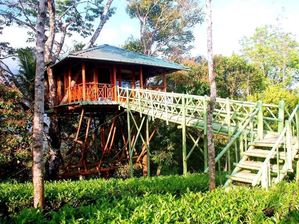 Dream Catcher Resort Муннар Екстер'єр фото