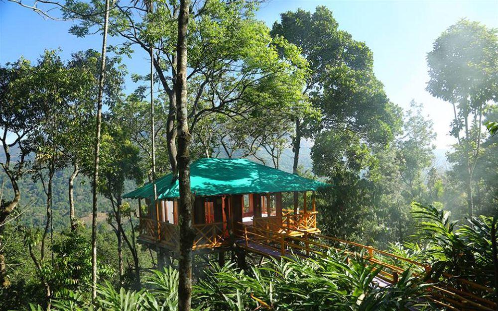 Dream Catcher Resort Муннар Екстер'єр фото