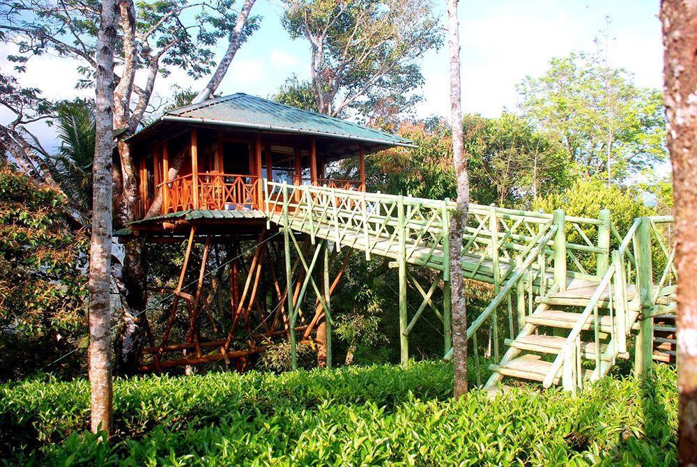 Dream Catcher Resort Муннар Екстер'єр фото
